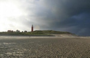 Texel